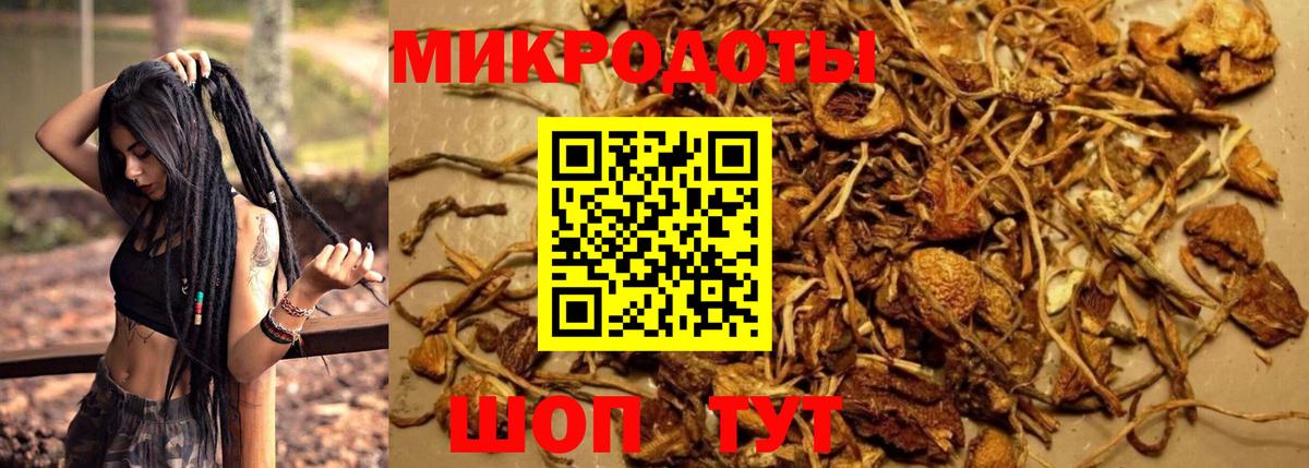 Галлюциногенные грибы прущие грибы  Галлюциногенные грибы GOLDEN TEACHER  Грязи  Вход с VPN 