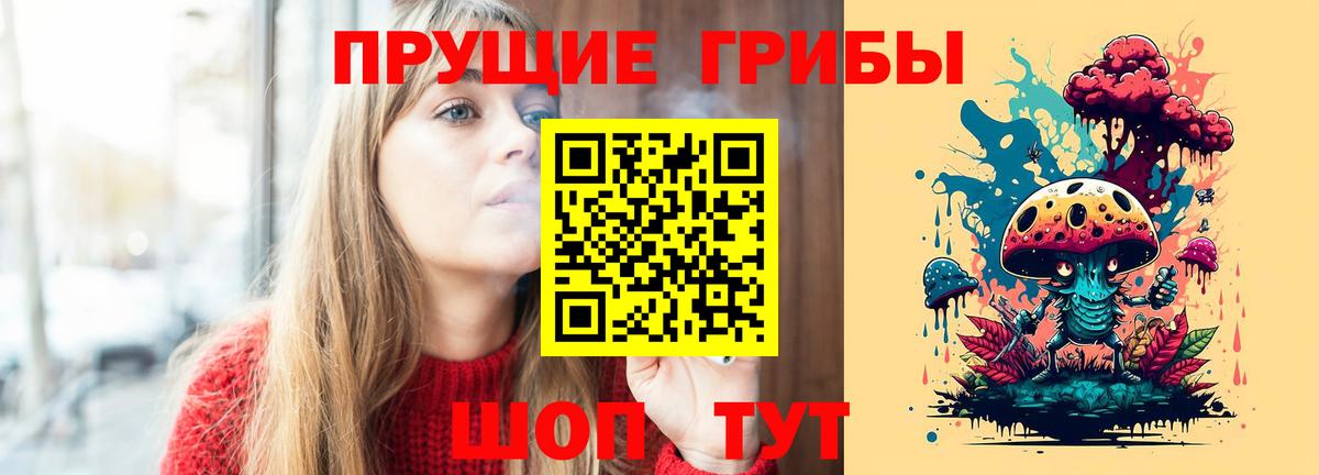Псилоцибиновые грибы Psilocybe Грязи